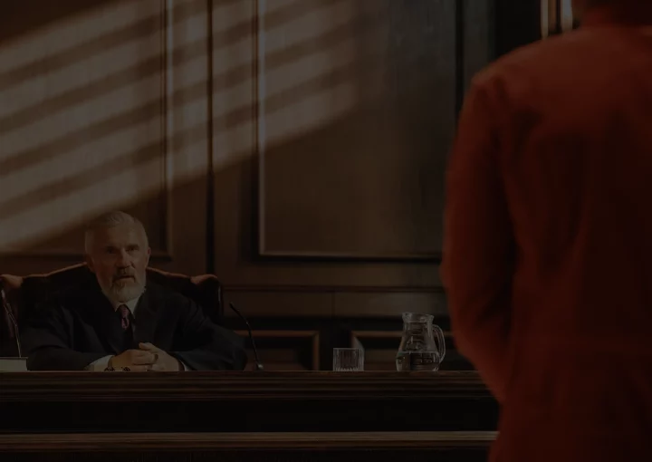 advice on pleading guilty