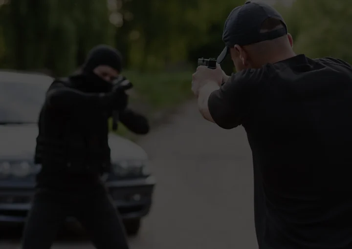 assault on government official