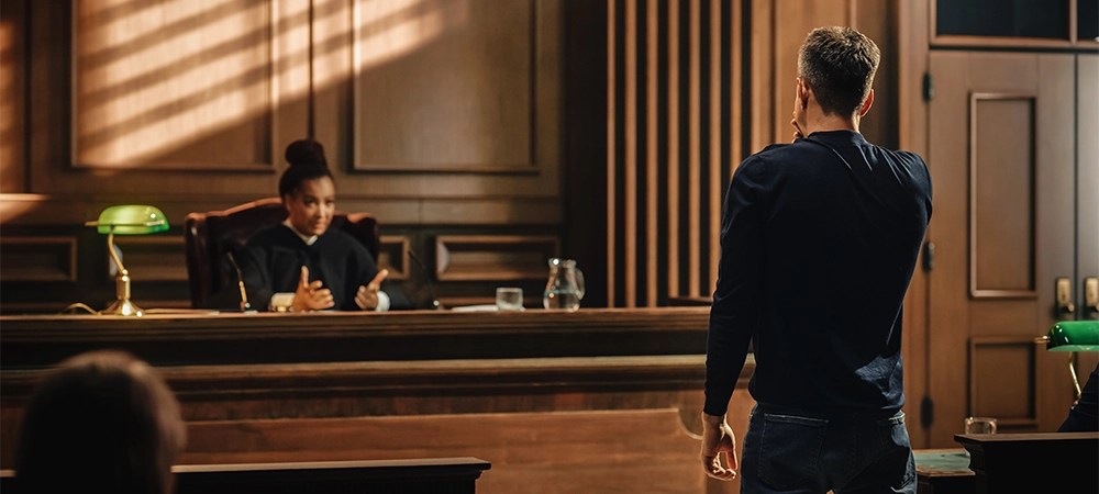plead guilty courtroom