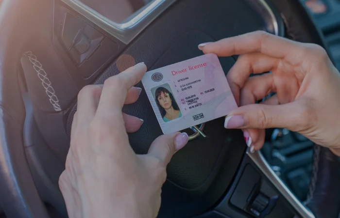 getting a driver license, female hands show US driving license, amid the steering wheel of a car