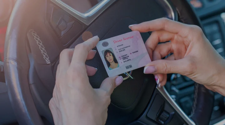 getting a driver license, female hands show US driving license, amid the steering wheel of a car