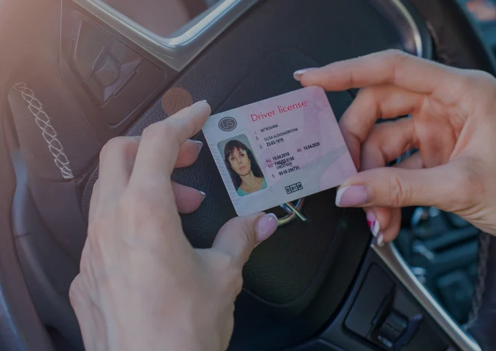 getting a driver license, female hands show US driving license, amid the steering wheel of a car